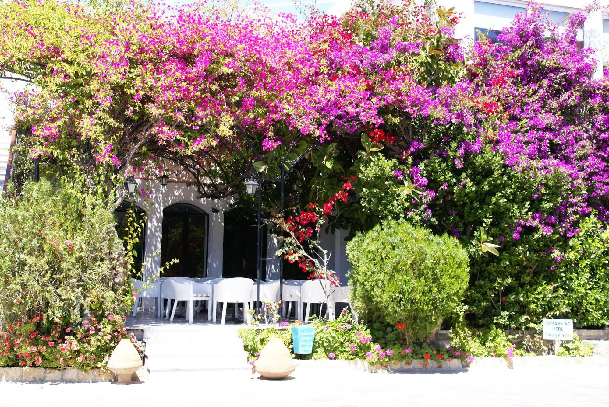 Skala Hotel المظهر الخارجي الصورة